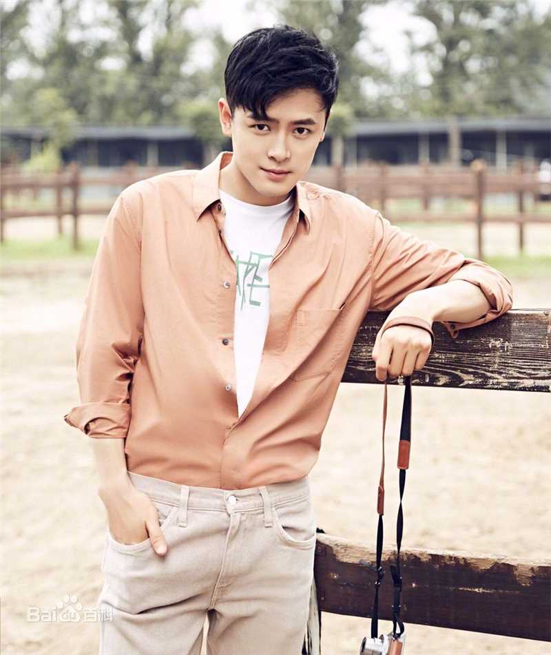 最全付辛博(Fu Xinbo)壁纸