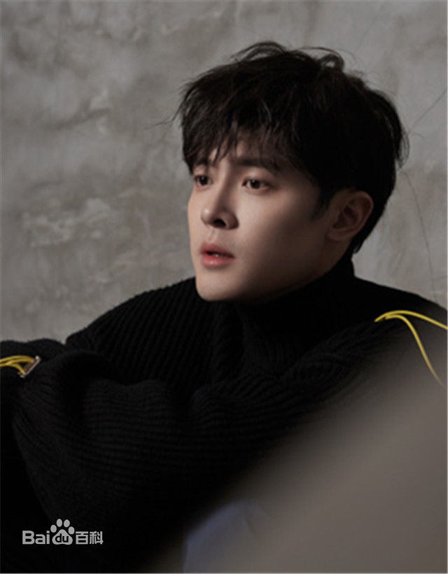 最全付辛博(Fu Xinbo)壁纸