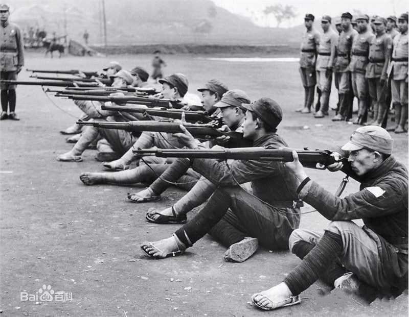 《王柏伦》封面图片