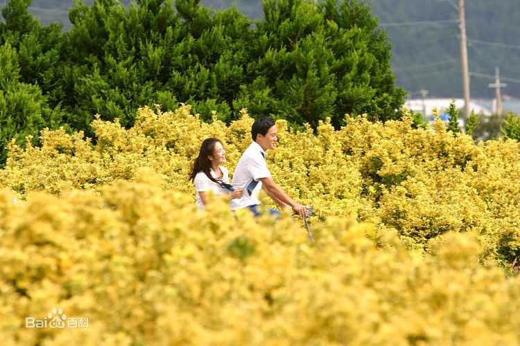 车太铉(Cha Tae Hyun)精彩图册