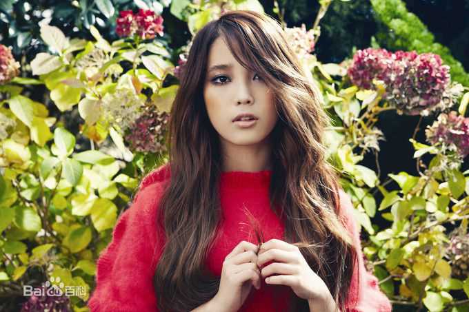 精选李知恩(IU（艺名）、 （韩文）、Lee Ji Eun（英文）)李智恩精彩图册