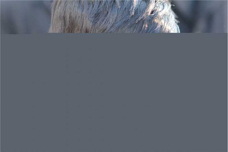 最全金秀贤(Kim Soo Hyun、キム スヒョン)在《突袭约会》(2011)中的壁纸