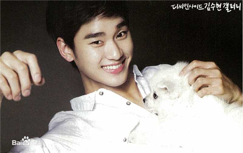 金秀贤(Kim Soo Hyun、キム スヒョン)精选人物图册