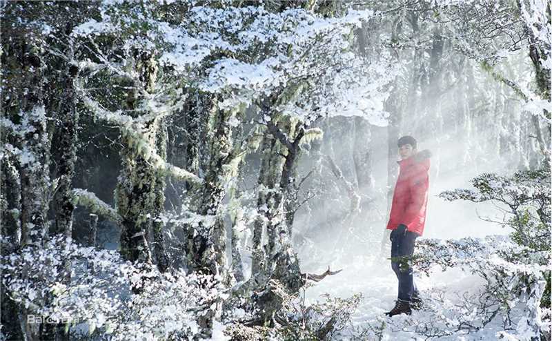 金秀贤(Kim Soo Hyun、キム スヒョン)广告代言生活照相册