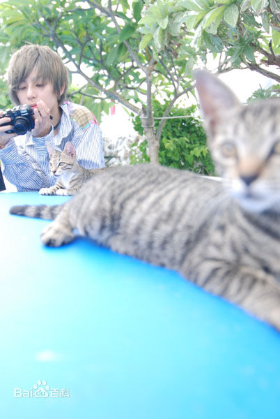 最优质林辰唏(Zaizai Lin)精彩图册