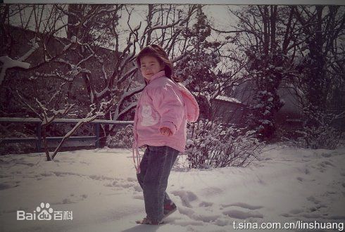 林爽(Sara)童年照壁纸壁纸