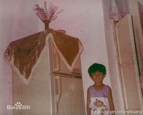 林爽(Sara)童年照壁纸壁纸