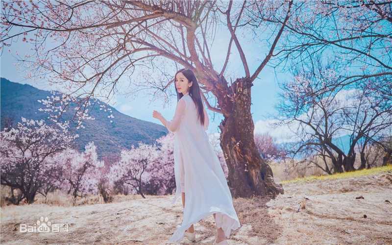 娄艺潇(Loura)最优质