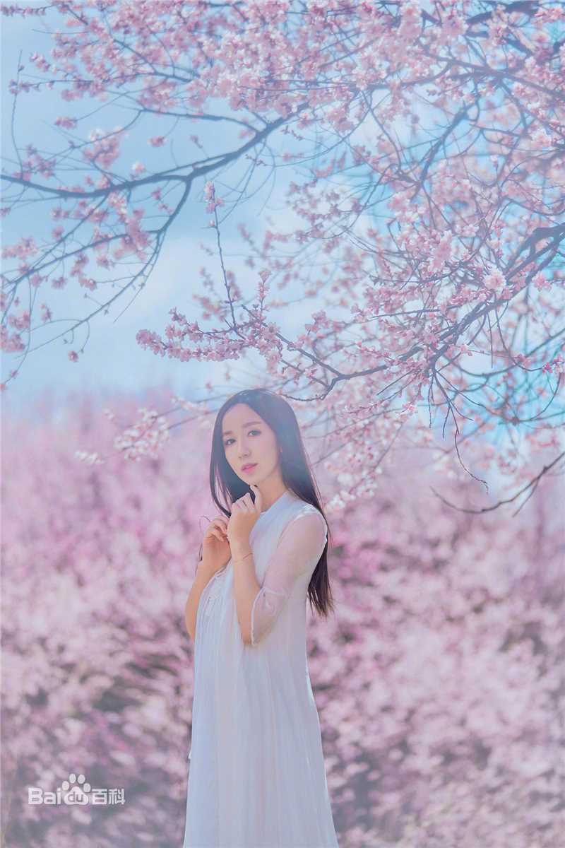 娄艺潇(Loura)最优质