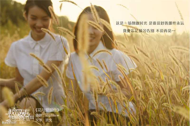 金晨(Gina)【校园志】图片图集