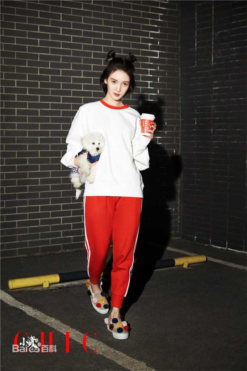 金晨(Gina)【小资CHIC】壁纸壁纸