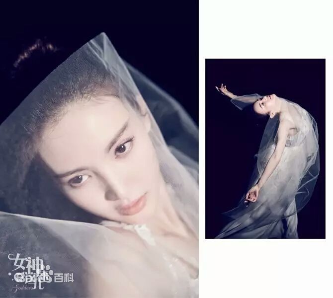 金晨(Gina)【女神来这儿】生活照