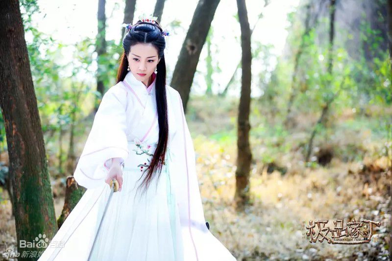 李溪芮(Nikki)《极品家丁》精选剧照