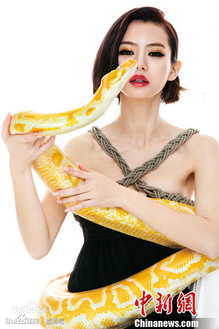 戚薇(Stephy)杂志相关