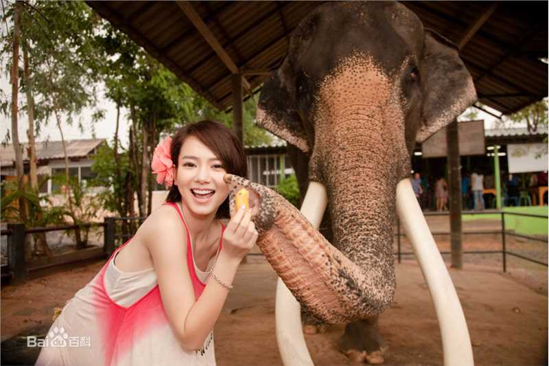 精选戚薇(Stephy)精彩图册