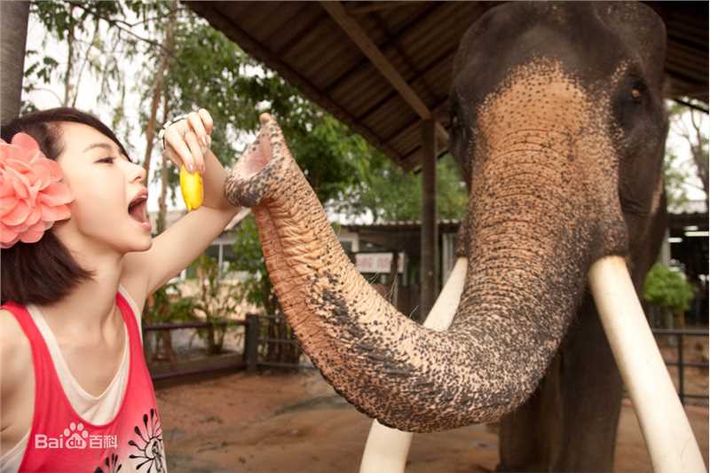 精选戚薇(Stephy)精彩图册