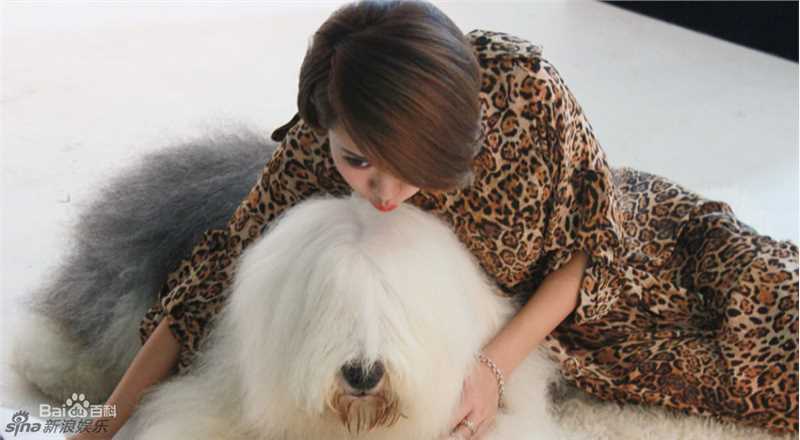 最全戚薇(Stephy)精彩图册