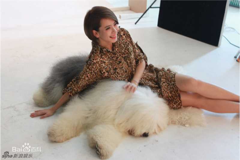 最全戚薇(Stephy)精彩图册