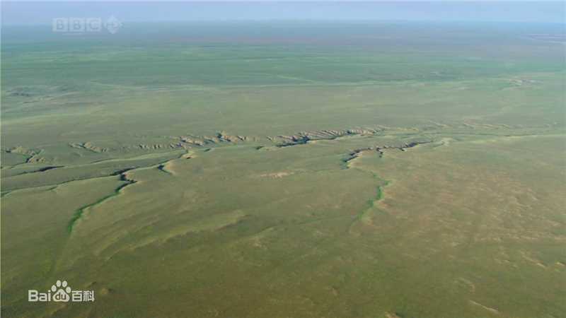 《吕行》封面图片