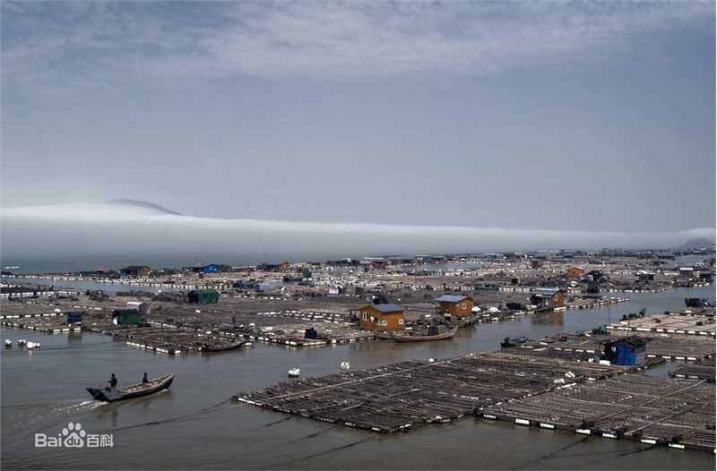 李淳(Mason Lee)前后照片