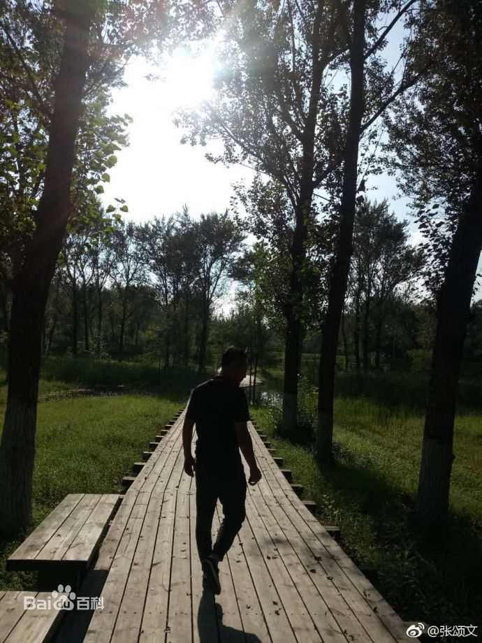 张颂文(Zhang Songwen)微博图片集图片图册