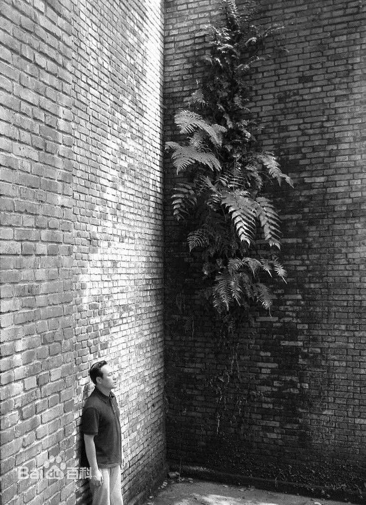 张颂文(Zhang Songwen)微博图片集图片图册