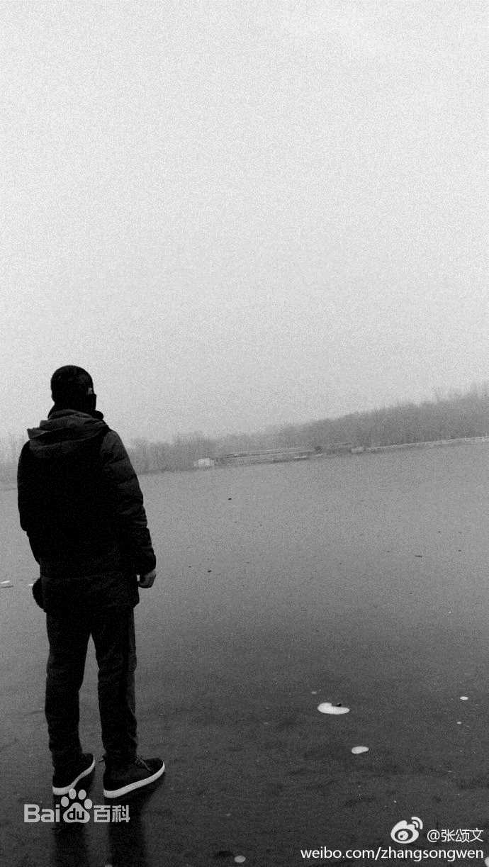 张颂文(Zhang Songwen)微博图片集图片图册