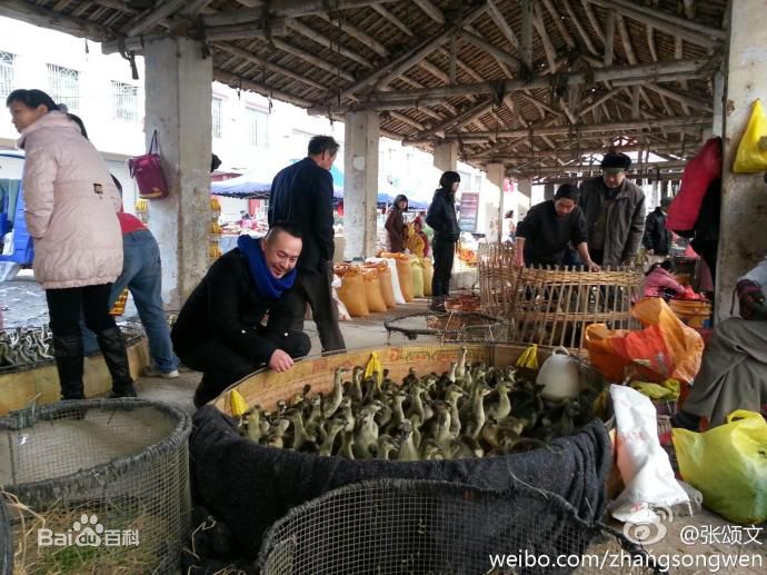 张颂文(Zhang Songwen)微博图片集图片图册