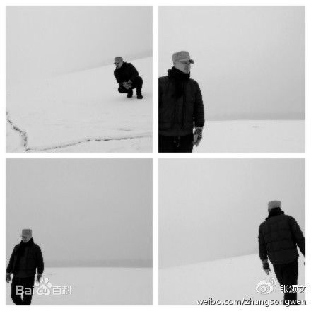 张颂文(Zhang Songwen)微博图片集图片图册