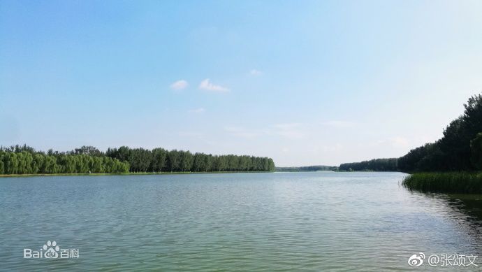 张颂文(Zhang Songwen)微博图片集图片图册