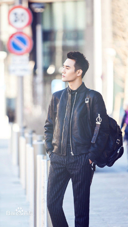 王凯(Wang Kai)街拍性感图片图集