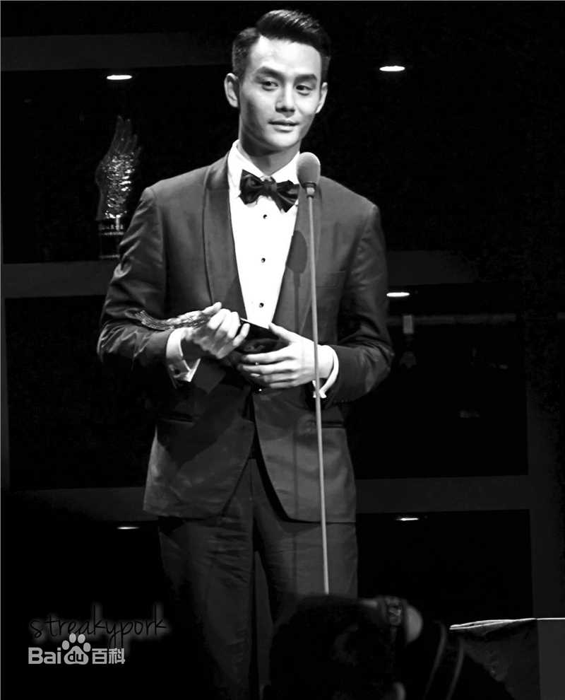 王凯(Wang Kai)风从东方来图册