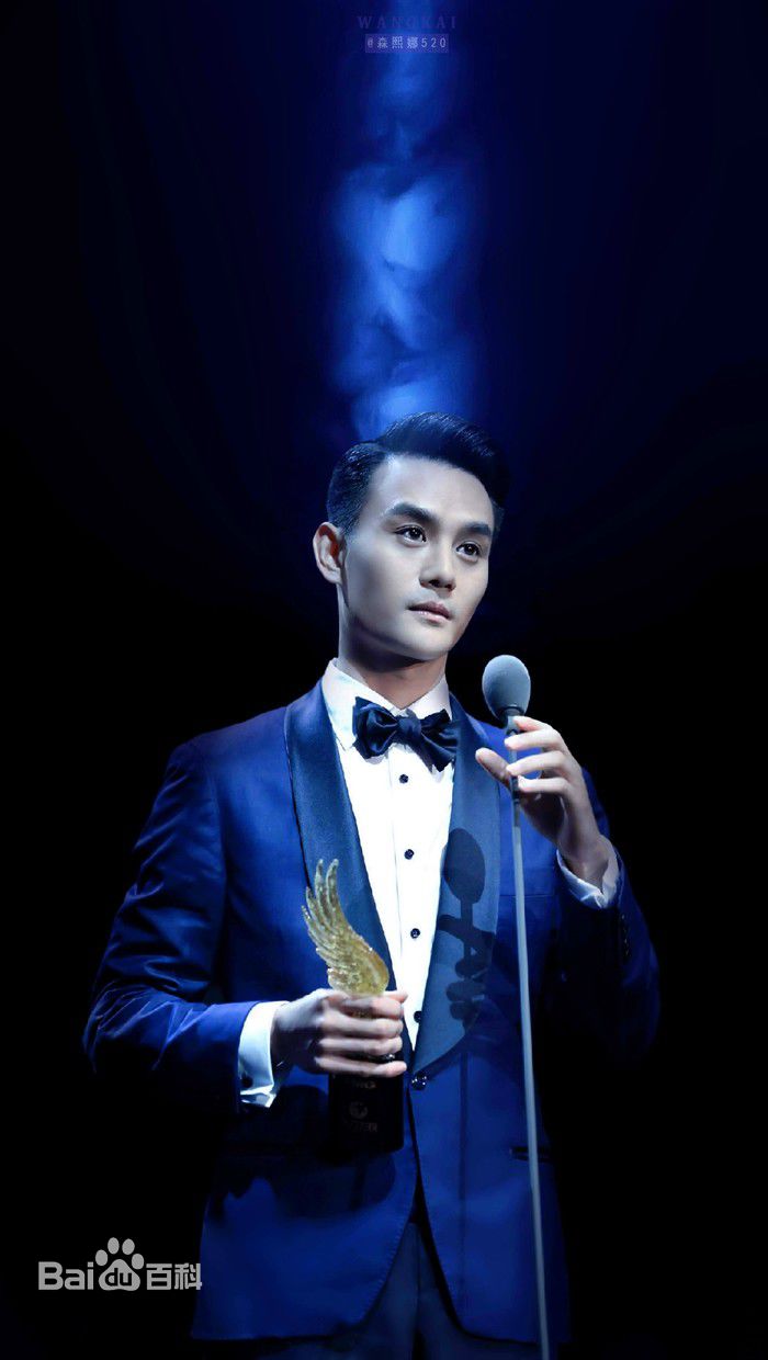 王凯(Wang Kai)风从东方来图册