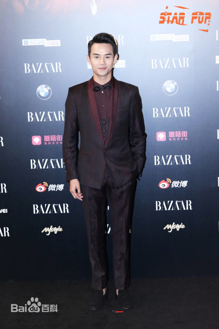 王凯(Wang Kai)芭莎慈善夜图片图册