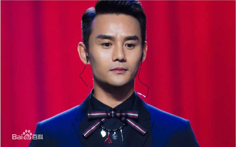 王凯(Wang Kai)芭莎慈善夜图片图册