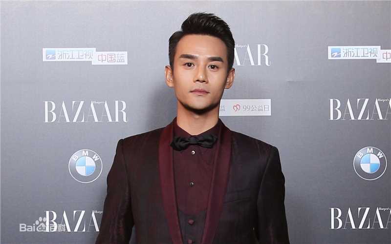 王凯(Wang Kai)芭莎慈善夜图片图册