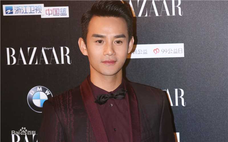 王凯(Wang Kai)芭莎慈善夜图片图册