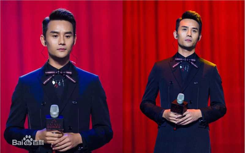 王凯(Wang Kai)芭莎慈善夜图片图册