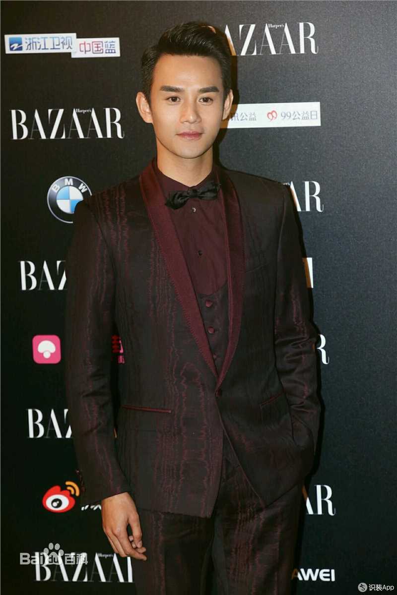 王凯(Wang Kai)芭莎慈善夜图片图册