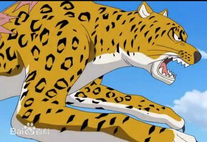 罗布·路奇(ロブ ルッチ<br>Rob Lucci)各种形态图片图册