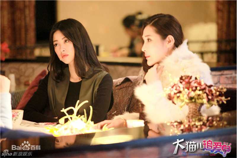 《大猫儿追爱记》剧照