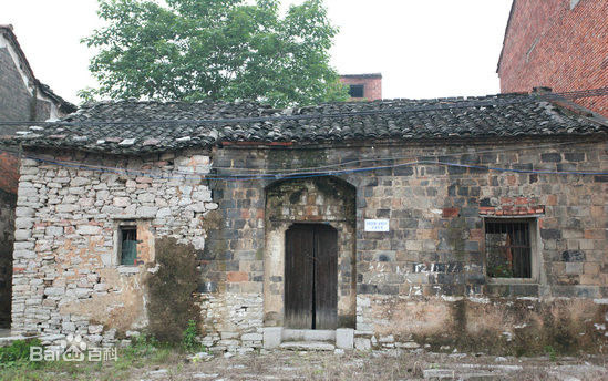 《田雨》封面图片