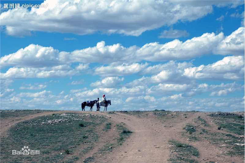 《陶昕然》封面图片