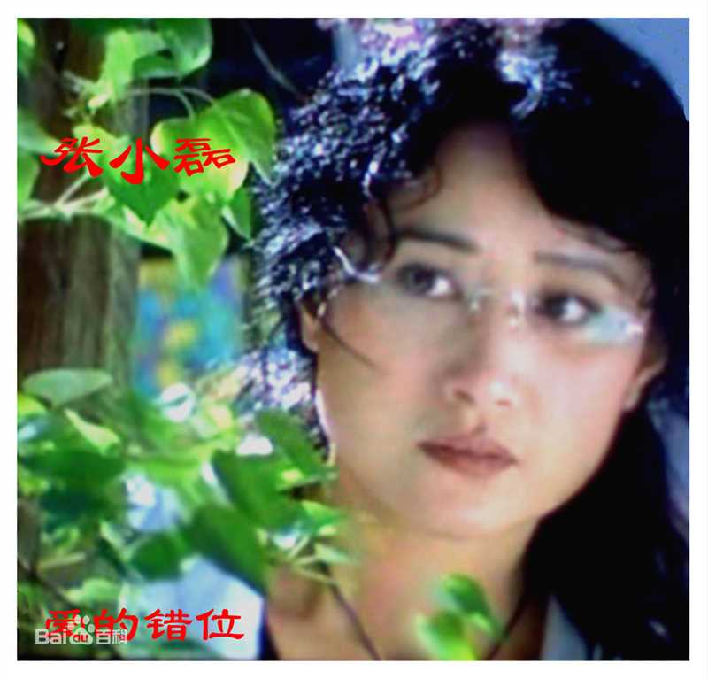 演员张小磊 电视剧作品