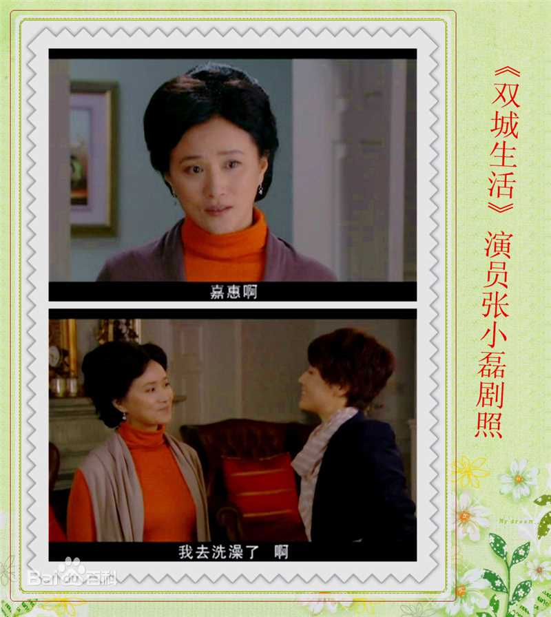 双城生活 演员张小磊剧照