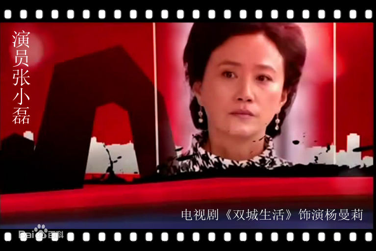 双城生活 演员张小磊剧照