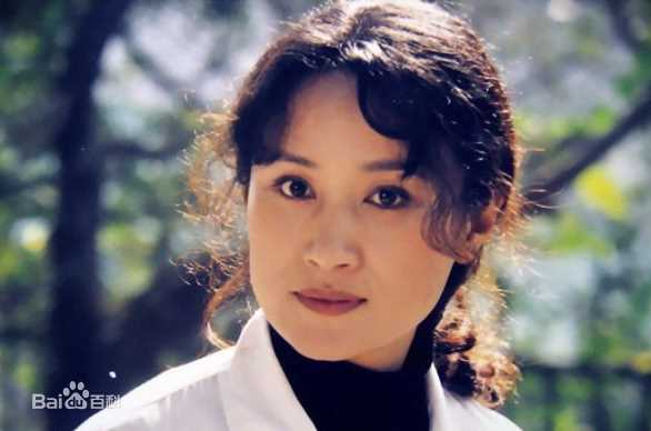 《张小磊》封面图片