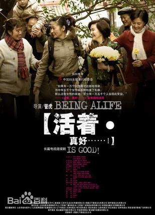 《张小磊》封面图片