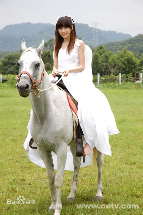 最新范植伟(Frank)壁纸