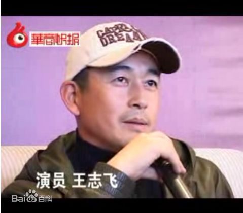 最优质王志飞(WangZhifei)精彩图册